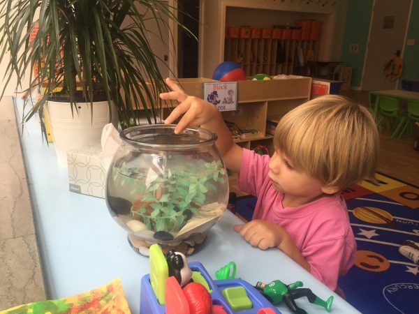 child playing with fish tank
